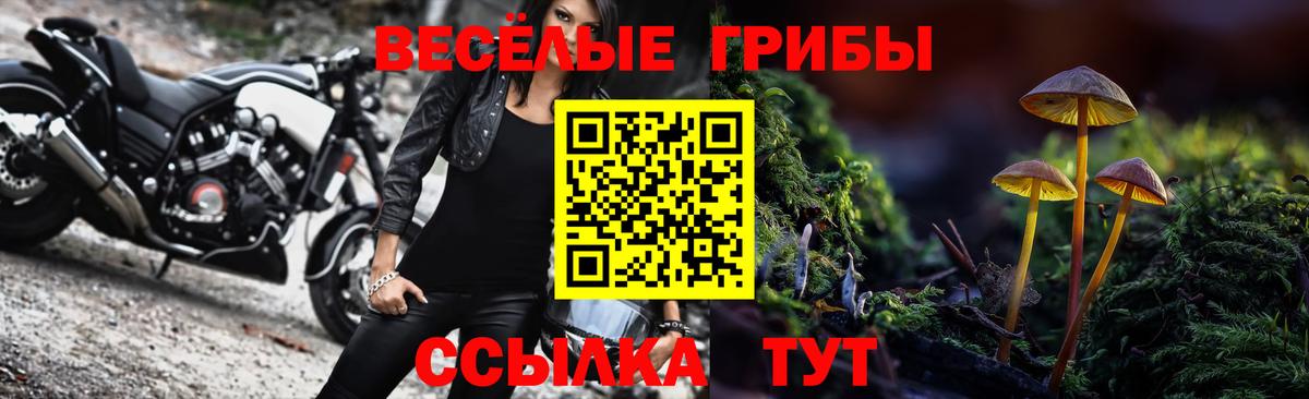 Богородицк  Псилоцибиновые грибы ЛСД  Галлюциногенные грибы ЛСД  Вход с VPN 